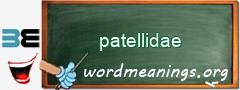 WordMeaning blackboard for patellidae